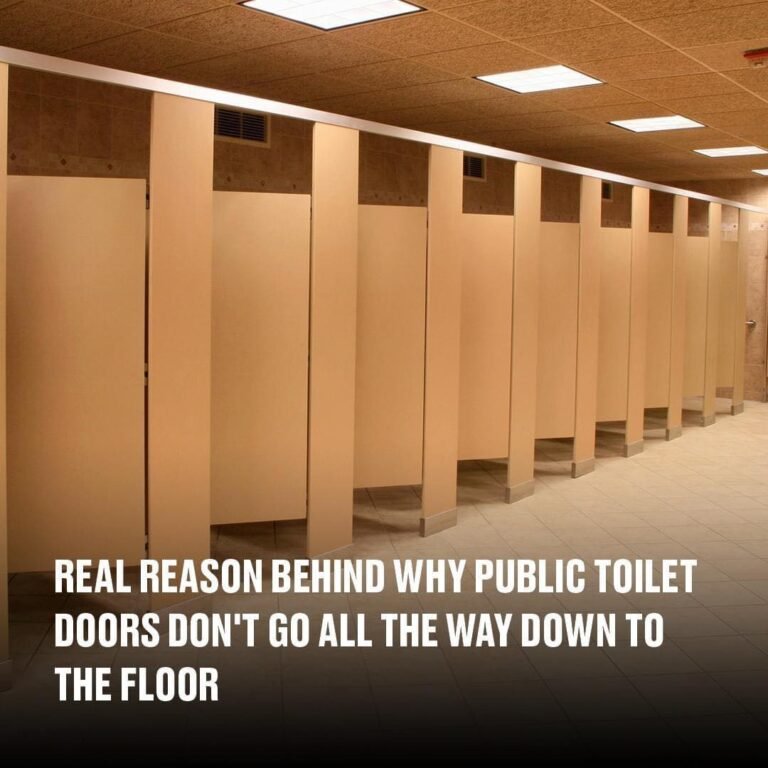 Do You Know Why Doors In Public Bathrooms Don’t Reach the Floor?